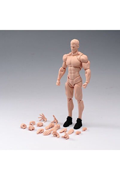 Choice لعبة وايت ويند تويز، جسم جندي ذكر فائق المرونة بمقياس 1/12، طوله 16 سم...