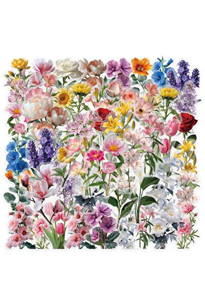 choice2 ٥٠ قطعة، ١٠/٣٠/٥٠ قطعة، ملصقات زهور شفافة بنمط INS، ملصقات نباتات طبي...