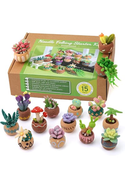 Choice L-15pcs 6/9/15 Pcs Succulent Beginner Needle Felting Kit Felt Tools wi...