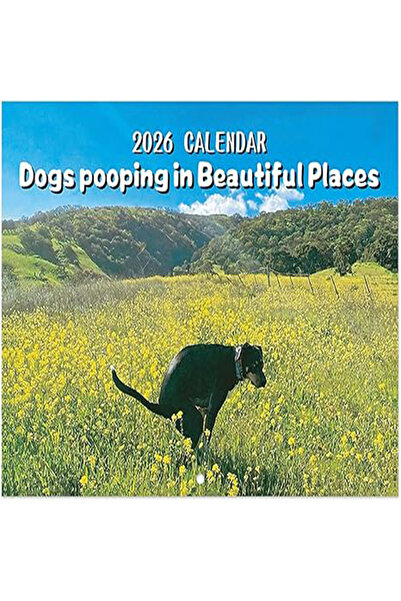 Choice 1 PCS Pooping Dog Calendar 2026 Large Monthly Grid Planning With Impor...