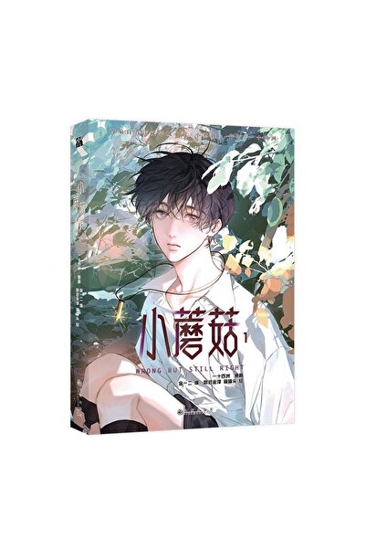 Choice 1Pc Book Little Mushroom Wrong But Still Right Original Comic Book Vol...