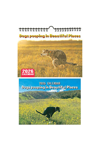 Choice 2pcs-B Pooping Dog Calendar 2026 Large Monthly Grid Planning With Impo...