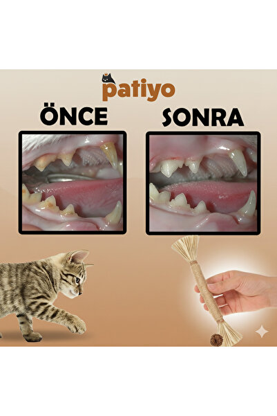 Generic Brand Natural Matatabi Chewing and Scratching Stick