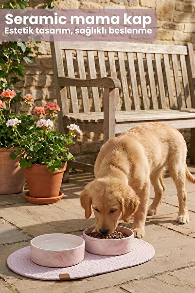 Pawicci 2'li Seramik Paspaslı Mama Kabı – Kedi ve Köpekler için Sağlıklı Mama Kasesi - Doğal Mama ve Su Kabı