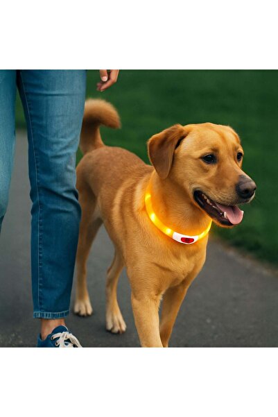 OEM Zgarda cu iluminare LED, 3 moduri de lumina si cablu USB. Lungimea sa poa...