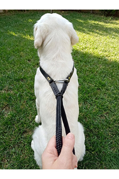 balkonda طوق للكلاب قابل للتعديل، موديل برباط، لجميع السلالات، مصنوع من الحبل...