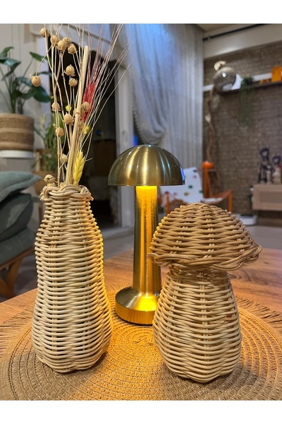 Empressco Rattan dekoratif mantar ve vazo, şık ve doğal ev aksesuarları (İki ...