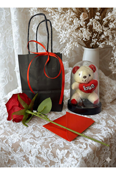 cevizdizayn SEVGİLİYE HEDİYE SEVGİLİLER GÜNÜ IŞIKLI FANUS HEDİYE SETİ – GÜL -...