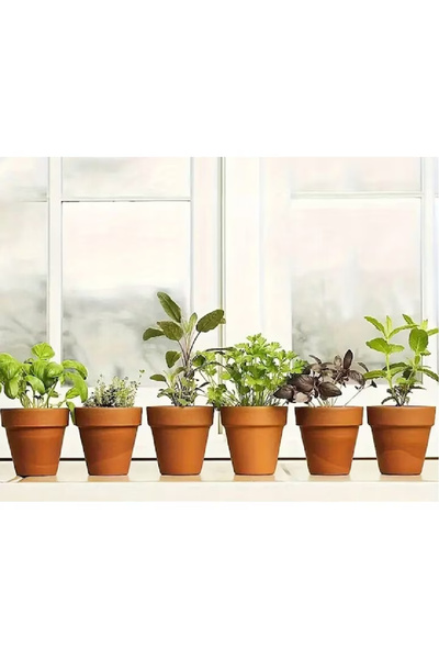 Evendi Flowerpot, Brown