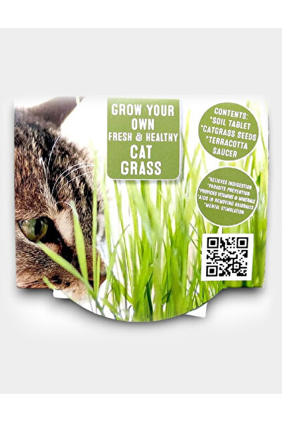 Evendi DIY Kit, Mix colors