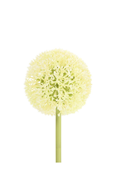 Evendi Artificial flower, White