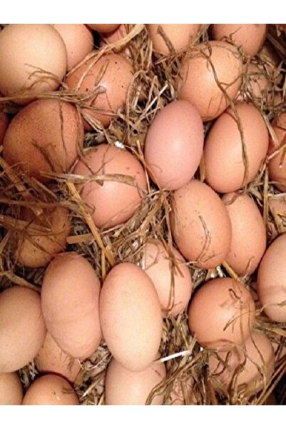 BORNOVA TARIM ORGANİK Köy Yumurtası Organik 30 Adet.