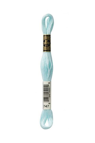 Dmc Muline Embroidery Thread 1-3866