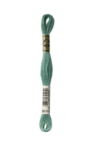 Dmc Muline Embroidery Thread 1-3866