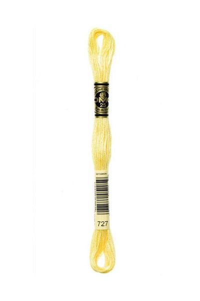 Dmc Muline Embroidery Thread 1-3866