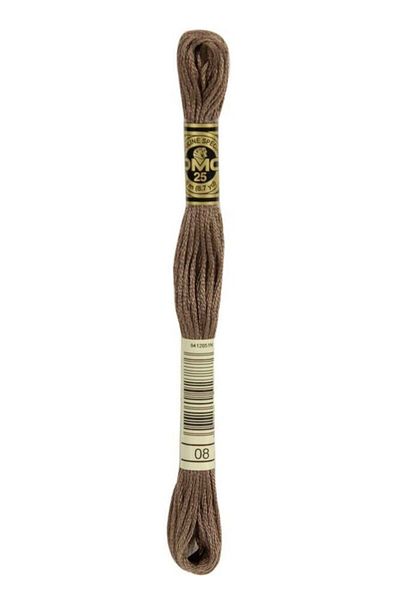 Dmc Muline Embroidery Thread 1-3866