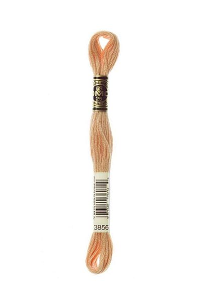 Dmc Muline Embroidery Thread 1-3866