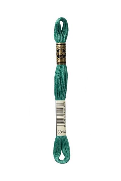 Dmc Muline Embroidery Thread 1-3866