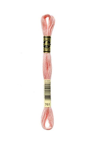 Dmc Muline Embroidery Thread 1-3866
