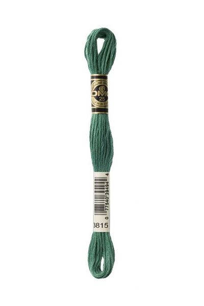 Dmc Muline Embroidery Thread 1-3866