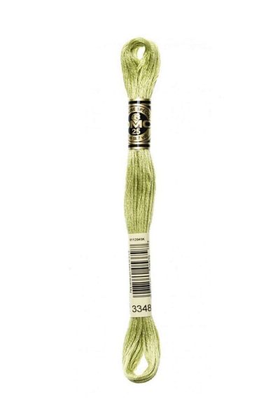Dmc Muline Embroidery Thread 1-3866