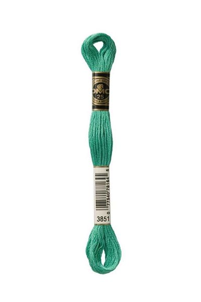 Dmc Muline Embroidery Thread 1-3866