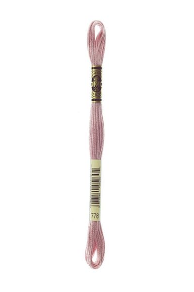 Dmc Muline Embroidery Thread 1-3866
