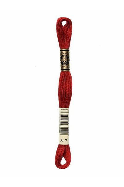 Dmc Muline Embroidery Thread 1-3866