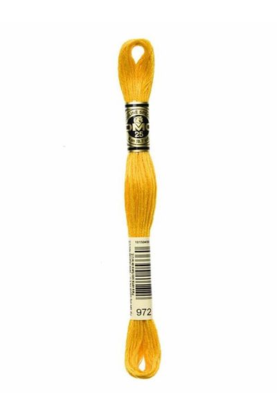 Dmc Muline Embroidery Thread 1-3866