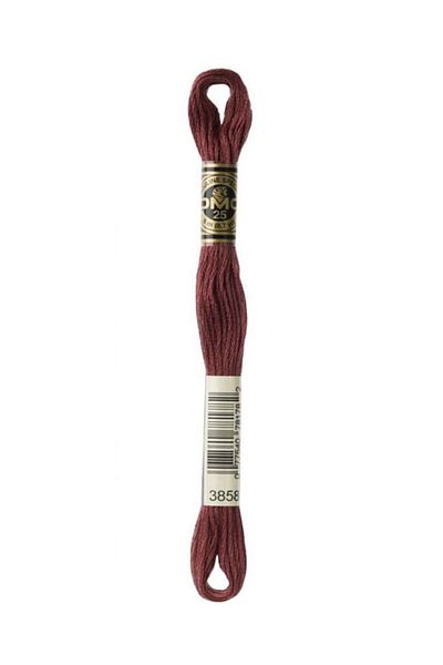 Dmc Muline Embroidery Thread 1-3866
