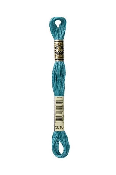 Dmc Muline Embroidery Thread 1-3866
