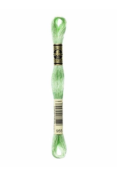 Dmc Muline Embroidery Thread 1-3866