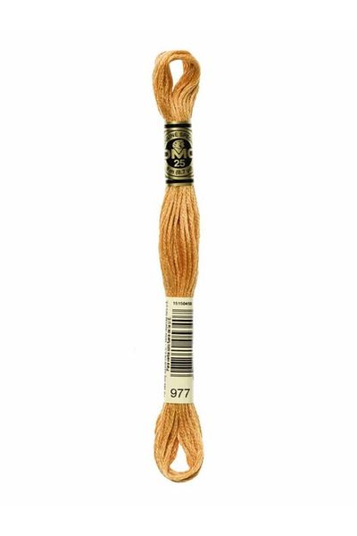 Dmc Muline Embroidery Thread 1-3866