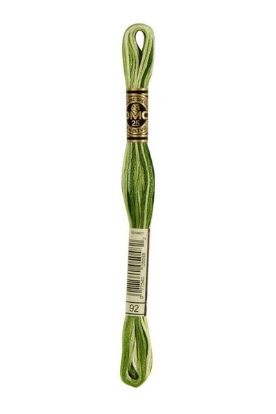 Dmc Muline Embroidery Thread 1-3866