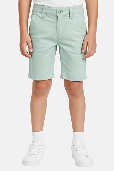 Levi's Toddlers Boy Solid Chino Shorts, Sage Green