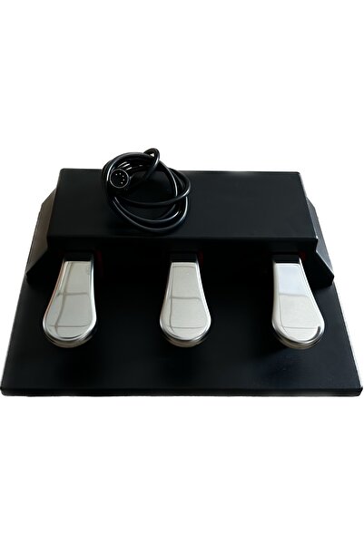 CREMONIA PEDAL BOX DİJİTAL PİYANO İÇİN PEDAL (KUTULU)