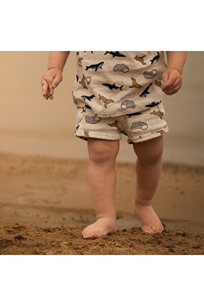 Antebies Sea Shorts - Life Series