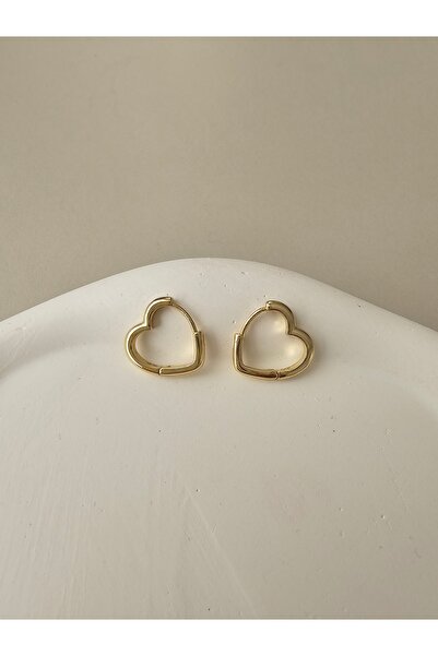 Zivazer Store Kadın Çelik Kararmaz Xuping Kalpli Küpe