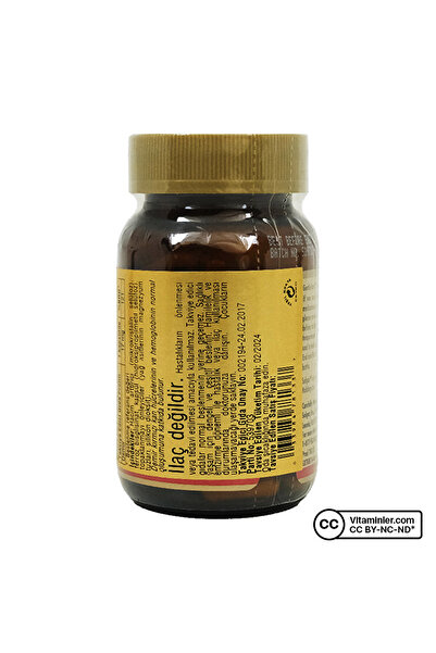 Solgar Gentle Iron 17 Mg 90 Kapsül