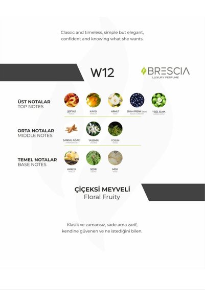 Brescia W-12 burrrbry klasik