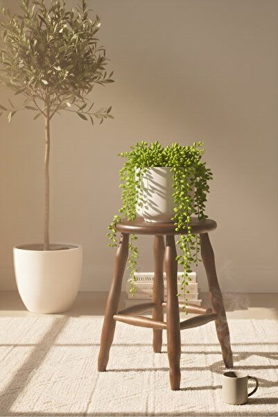 MMS AHŞAP AHŞAP CEVİZ RENK MUTFAK VE BALKON TABURESİ