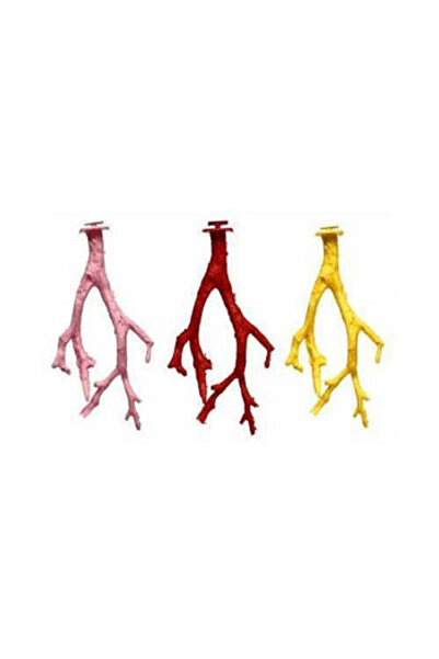 BirdLife Dal Kuş Tüneği Translates To: Dal Bird's Nest