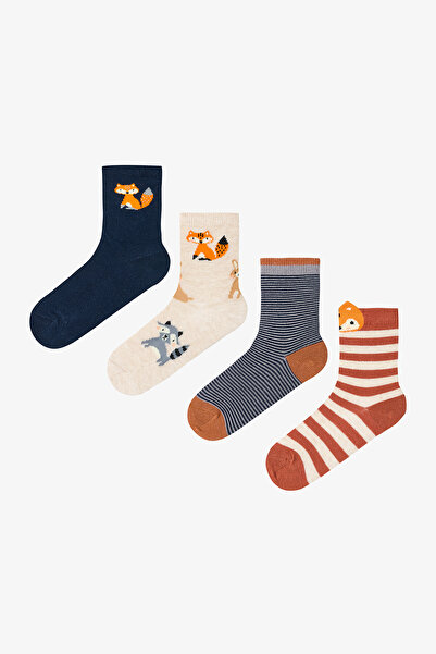 Penti Çok Renkli Erkek Çocuk Foxy Stripe 4lü Soket Çorap