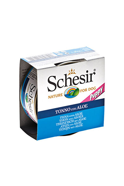 Schesir علبة للكلاب مع الدجاج والصبار في الجيلي 150 جرام