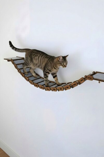 CatraWorks جسر حائط للقطط من الخشب البني، مسار تسلق للحيوانات الأليفة