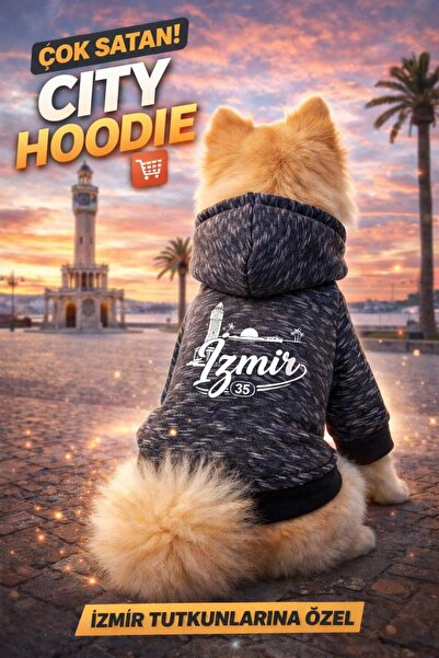 PetiliDünya Şehir serisi şapkalı köpek sweat kedi sweat şardonlu city serisi