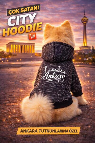 PetiliDünya Şehir serisi şapkalı köpek sweat kedi sweat şardonlu city serisi
