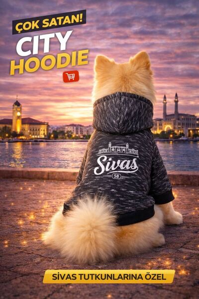 PetiliDünya Şehir serisi şapkalı köpek sweat kedi sweat şardonlu city serisi