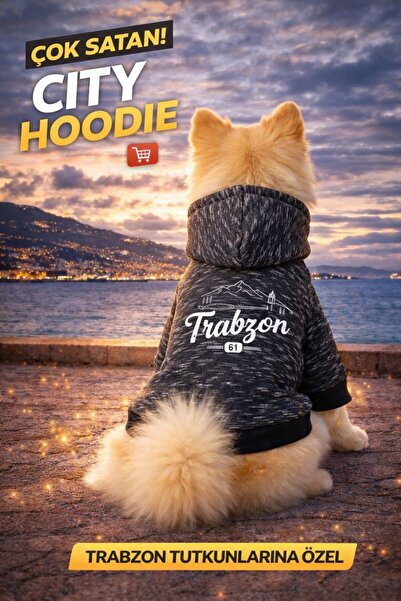 PetiliDünya Şehir serisi şapkalı köpek sweat kedi sweat şardonlu city serisi