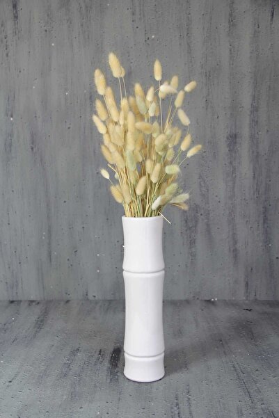 Dekorsende حزمة لاجوروس المجففة (القطن الطبيعي).